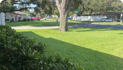 Completed lawn care job near Brandon FL