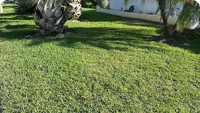 Completed lawn care job near Brandon FL